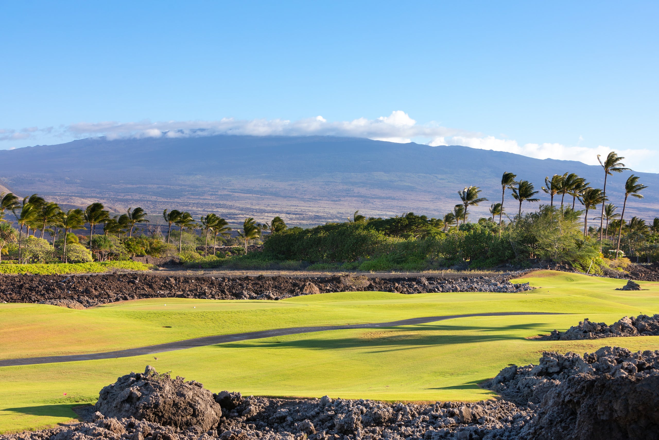 Townhouse in Waimea · ★5.0 · 3 bedrooms · 3 beds · 3 baths - Image 4