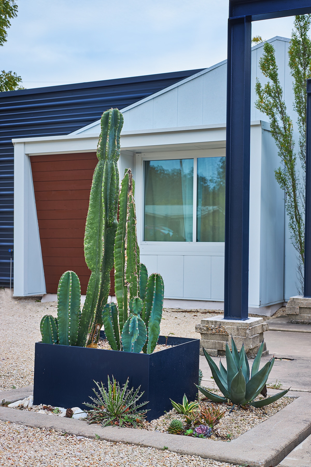 Wow, Glass-Walled Design Bungalow near University of Texas