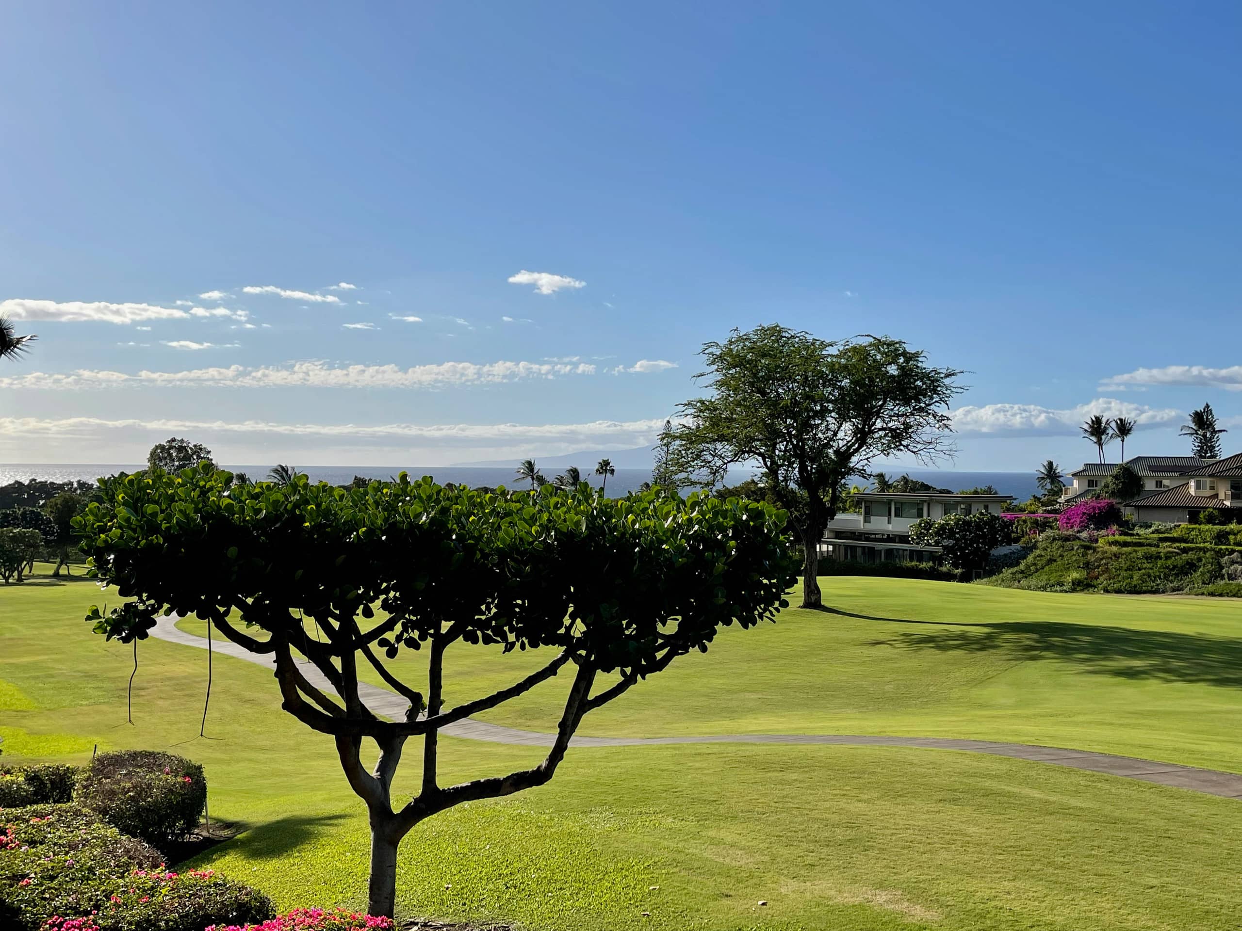 Condo in Wailea · ★4.97 · 1 bedroom · 1 bed · 2 baths - Image 34