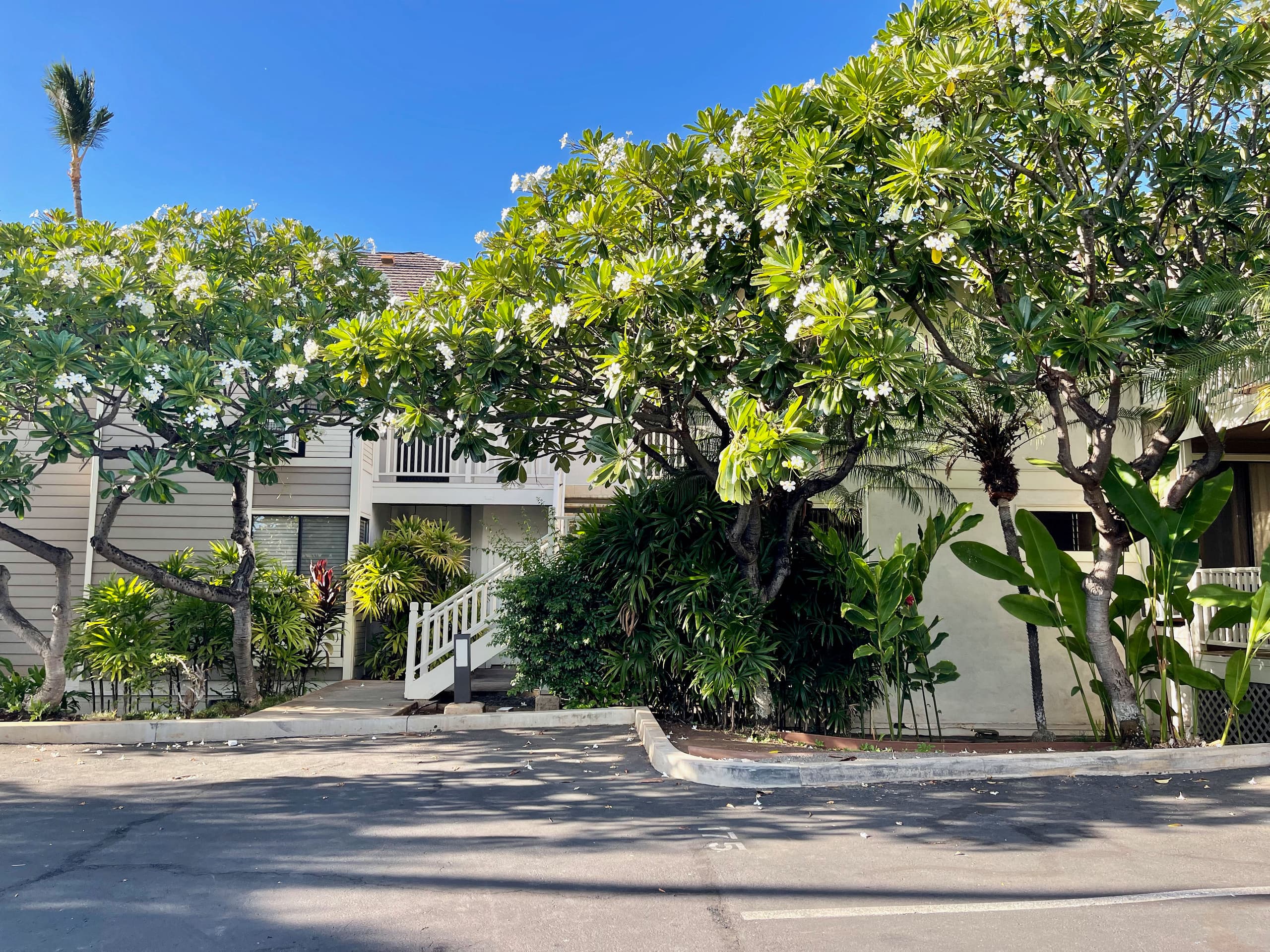 Condo in Wailea · ★4.97 · 1 bedroom · 1 bed · 2 baths - Image 35