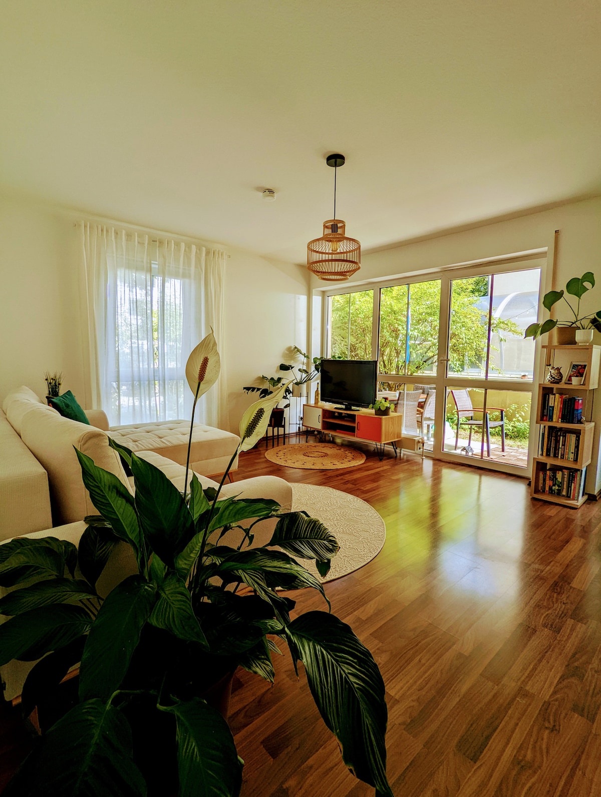 A bright living area features large windows allowing natural light to fill the space. A light-colored sofa is positioned beside a round rug, while a television sits on a low stand. Potted plants add greenery, and a bookshelf is visible in the corner.