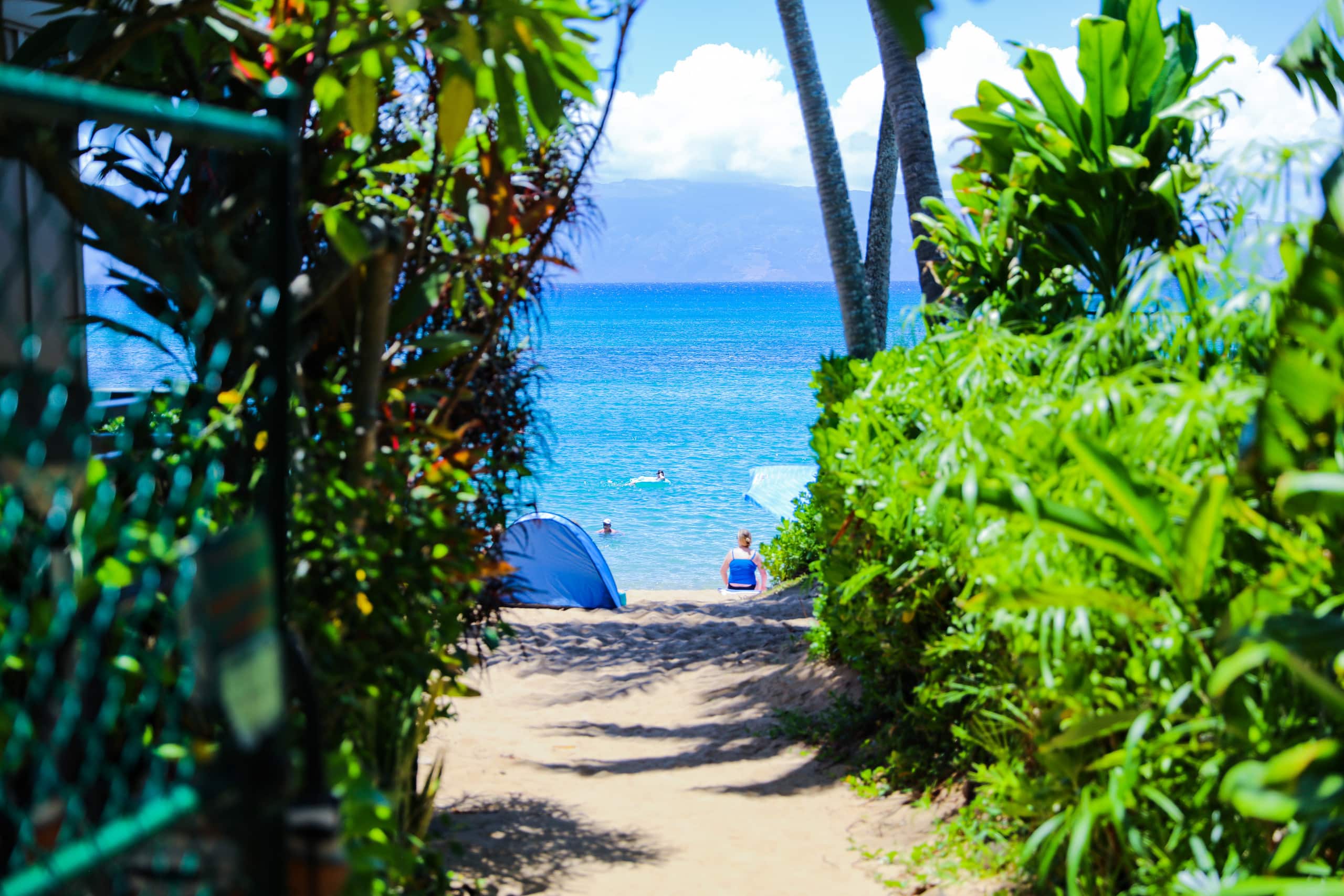 Condo in Lahaina · ★5.0 · Studio · 1 bed · 1 bath - Image 20