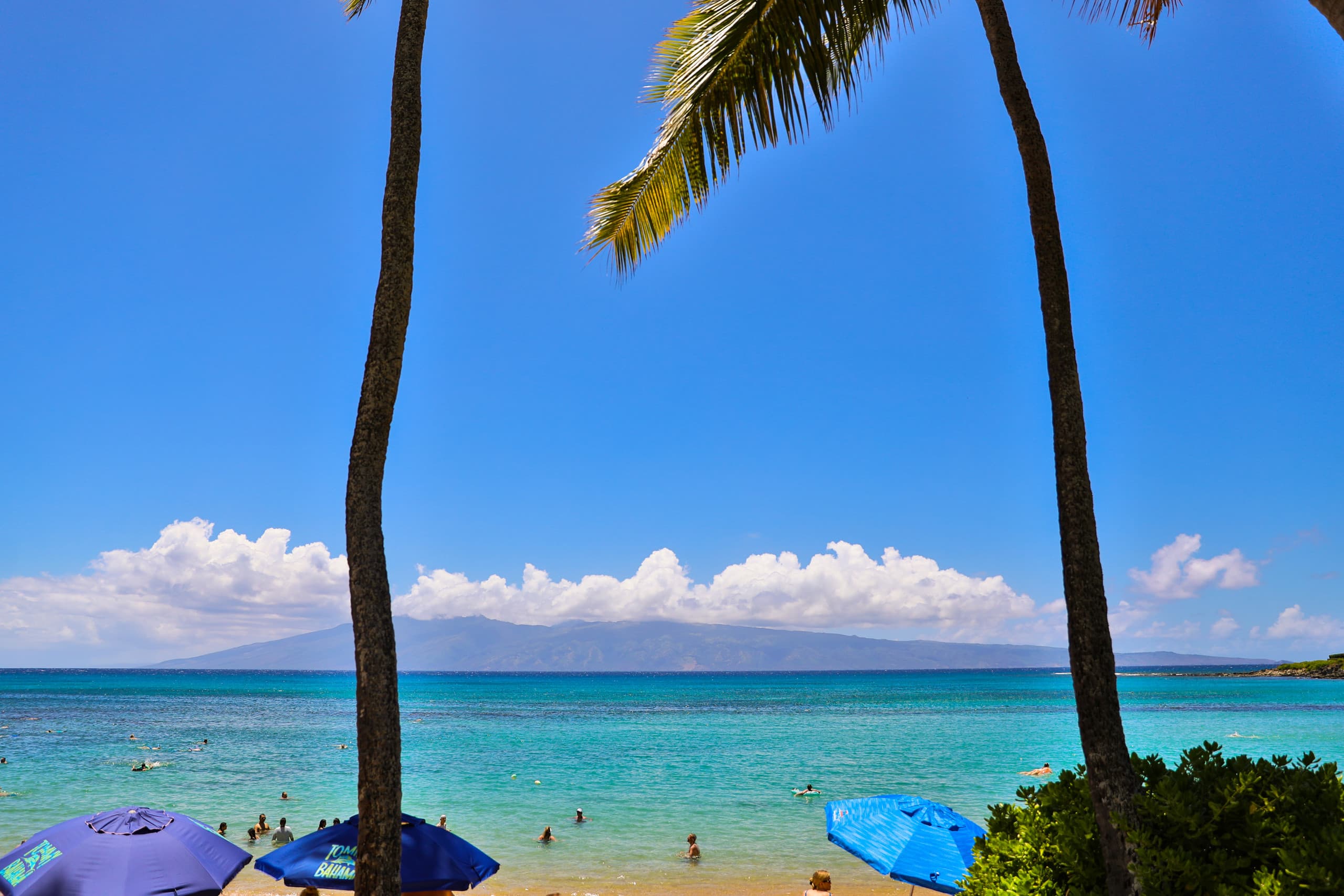 Condo in Lahaina · ★5.0 · Studio · 1 bed · 1 bath - Image 22