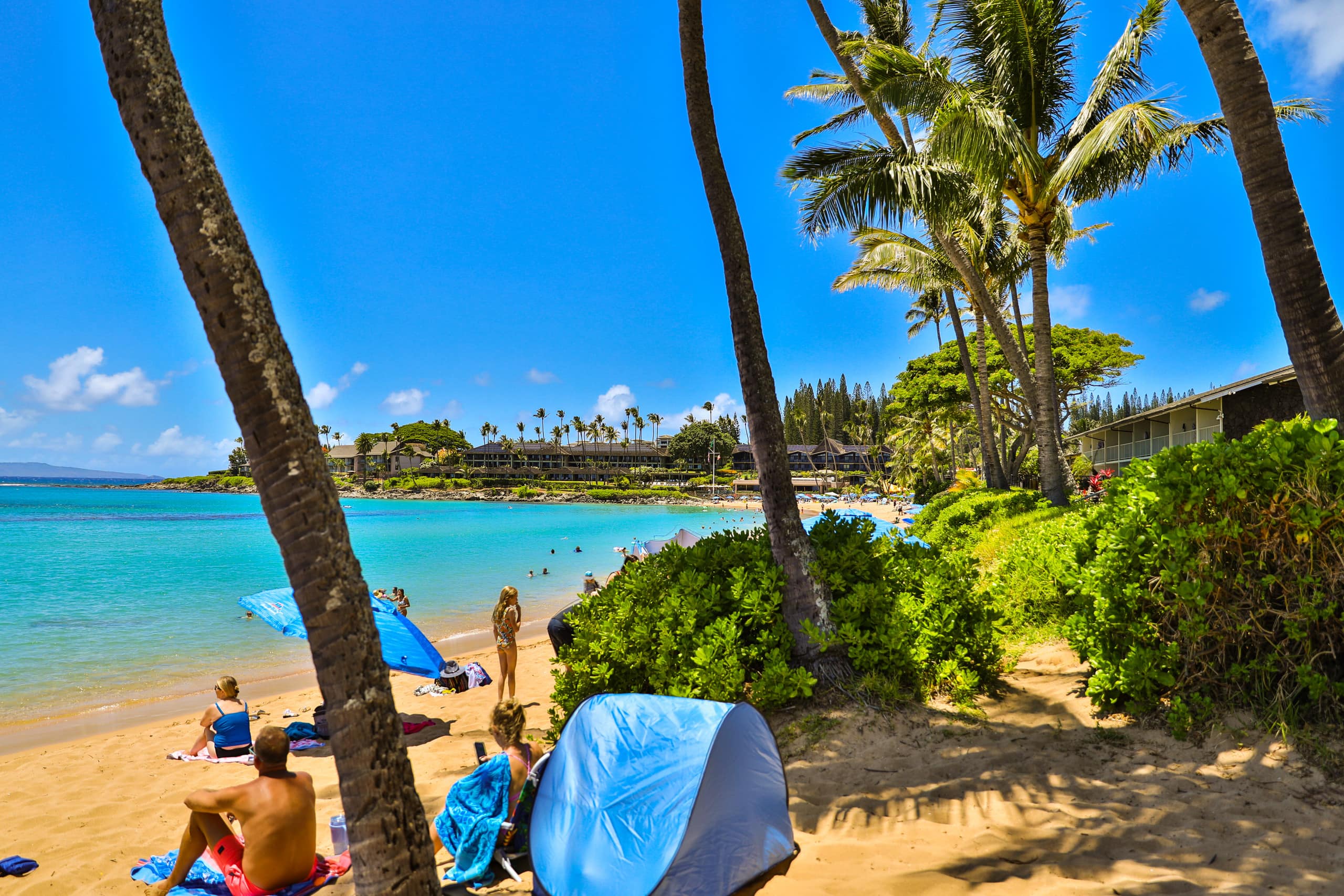 Condo in Lahaina · ★5.0 · Studio · 1 bed · 1 bath - Image 19