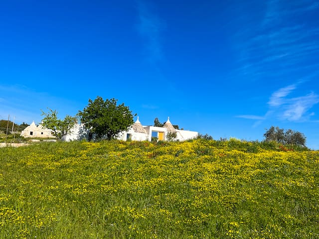 Architect’s New Home in Puglia gallery image 2