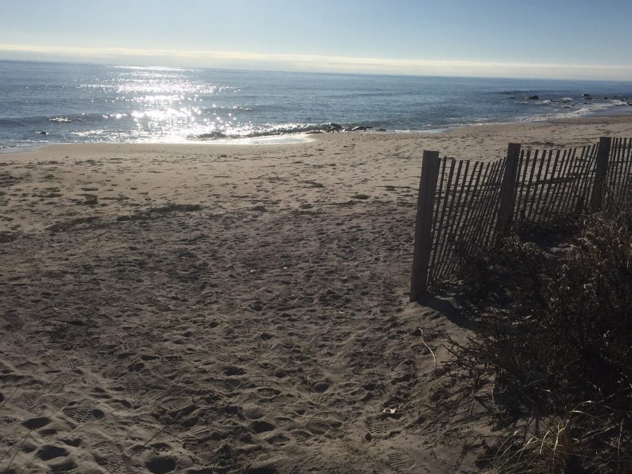 The image captures a serene beach scene with soft sand leading to calm waters. Sunlight reflects off the ocean surface, creating a shimmering effect. A wooden fence separates the beach from a coastal area, accompanied by sparse vegetation.