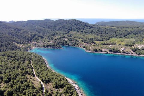 Successful Airbnb property: Holiday house Ivko - Korcula in Općina Vela Luka