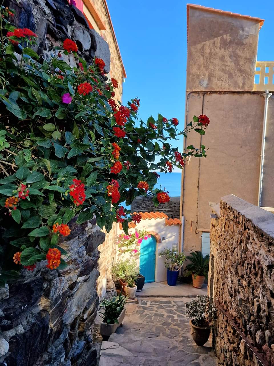 A narrow stone pathway is framed by vibrant flowers on the left, leading towards a blue door in the background. Potted plants add greenery to the scene, which features classic stone walls and clear blue skies overhead.