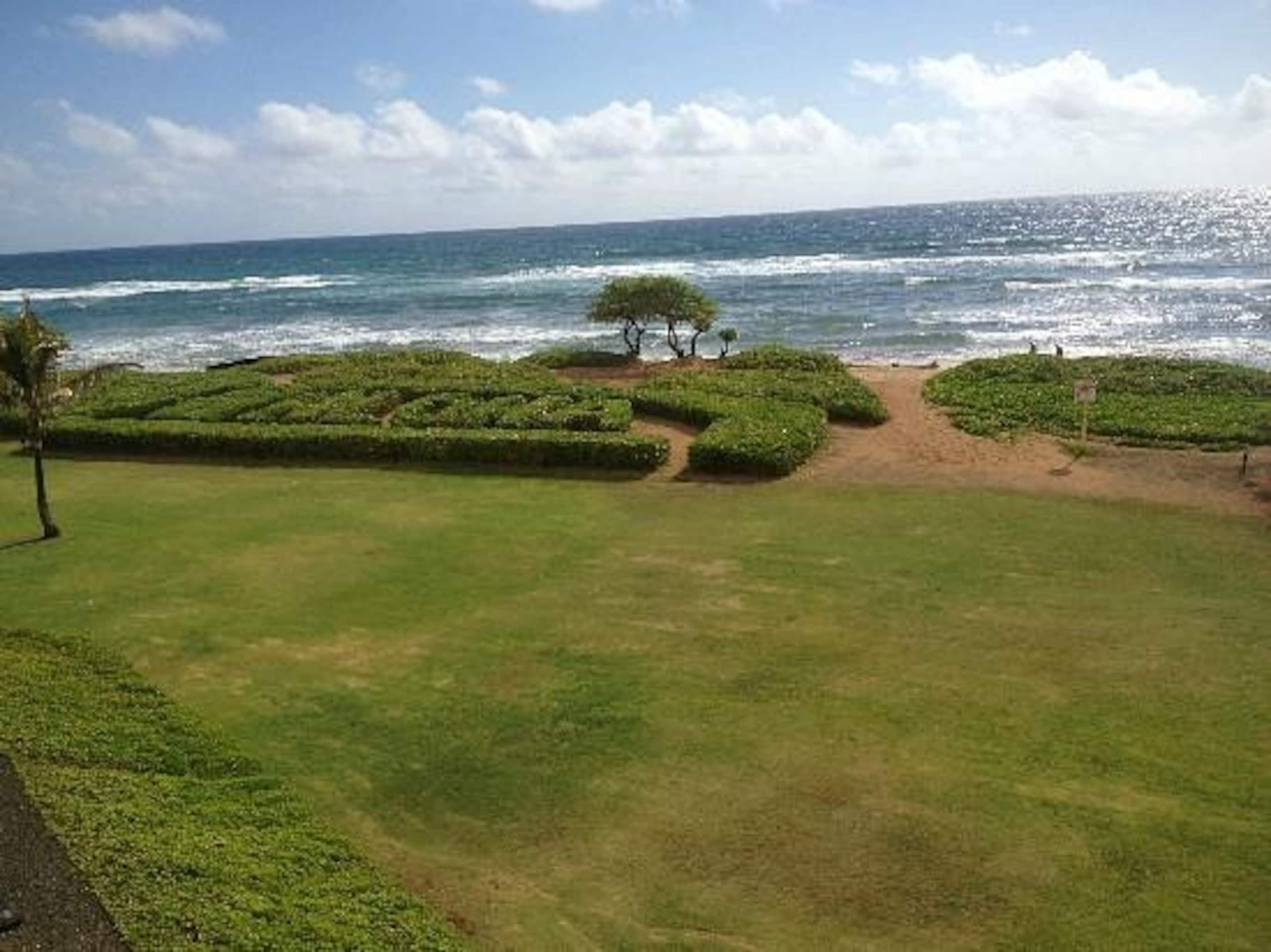 Condo in Lihue · ★5.0 · 2 bedrooms · 4 beds · 2 shared baths - Image 5