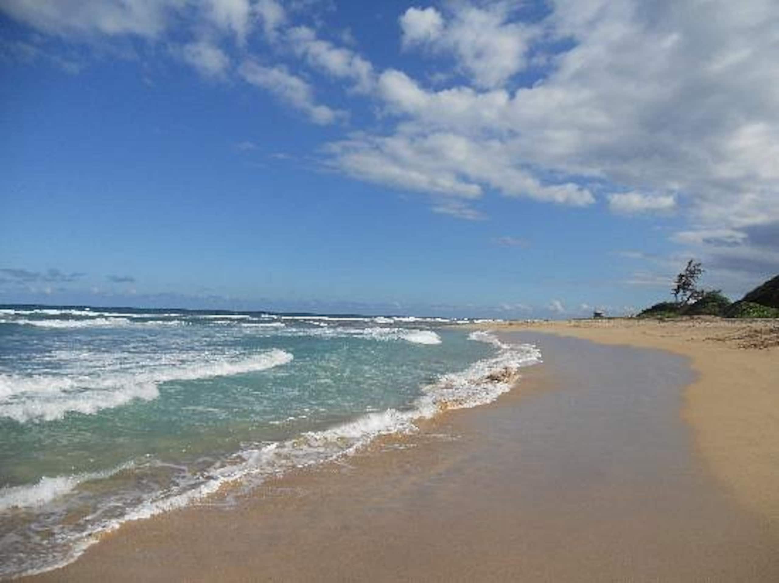 Condo in Lihue · ★5.0 · 2 bedrooms · 4 beds · 2 shared baths - Image 8
