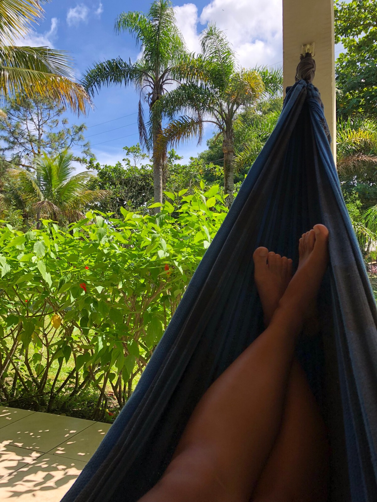 A hammock is suspended on a patio overlooking lush greenery and palm trees, creating a serene outdoor setting. Sunlight filters through the foliage, emphasizing the tranquil ambiance. Bare feet resting in the hammock suggest relaxation in this inviting space.
