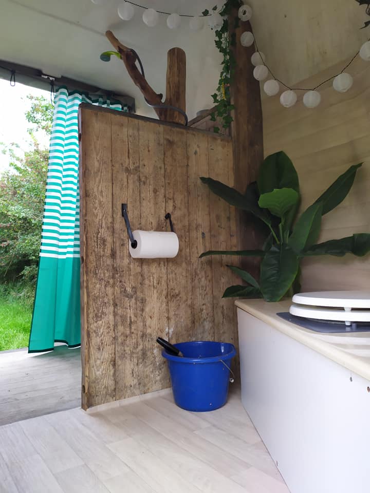 A natural interior space features wooden walls with a rustic appeal. A blue bucket is positioned next to a wall-mounted paper towel holder. A countertop area is visible, along with greenery from a potted plant. Hanging lights add a soft illumination effect.