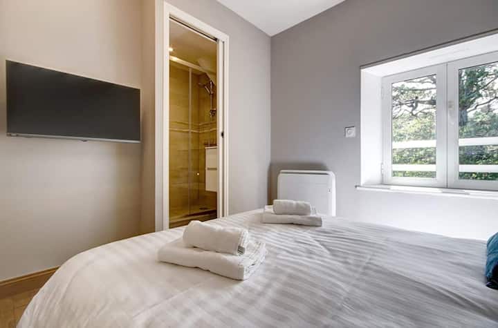 chambre avec télévision et salle d'eau privative