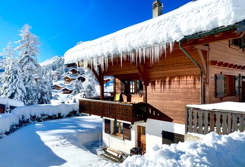 Cozy apartment in a Swiss mountain chalet