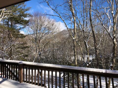 The Lodge at Mulberry Springs