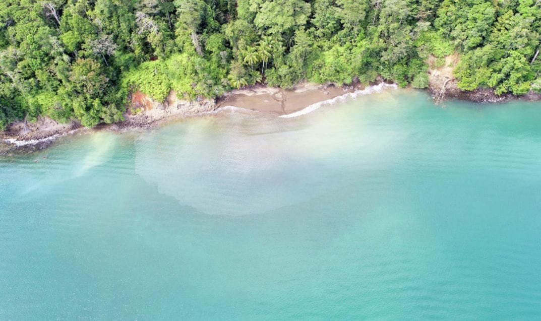 A serene coastal view showcases a sandy beach bordered by lush greenery. The calm, clear waters gently lap at the shore, revealing subtle shades of turquoise and pale sand. The surrounding trees create a natural frame, enhancing the picturesque landscape.