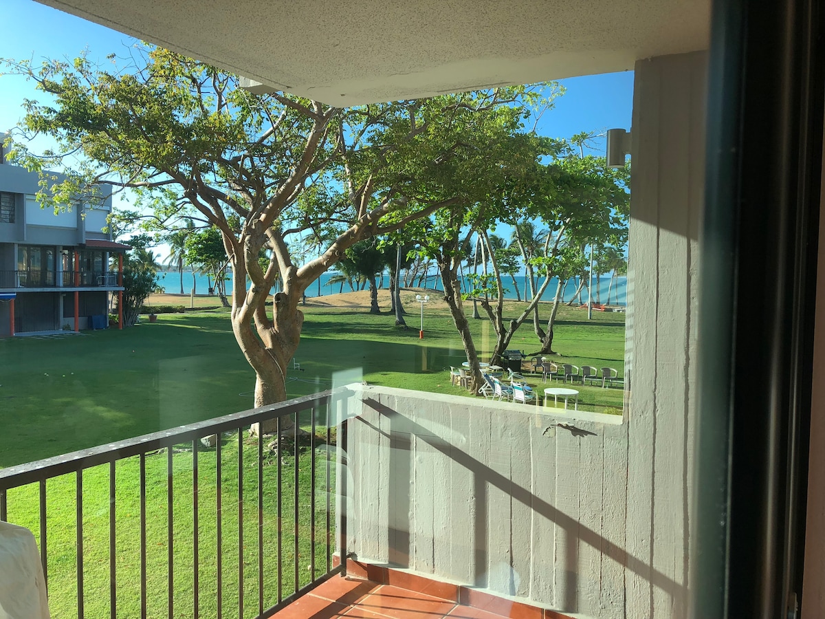 A balcony view reveals lush greenery, with several palm trees swaying gently. The ocean is visible in the distance, complemented by a sunny blue sky. A manicured lawn stretches below, featuring seating arrangements that invite relaxation.