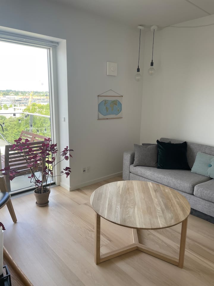 Skøn Lejlighed Med Dejlig Stor Altan Og God Udsigt - Aarhus