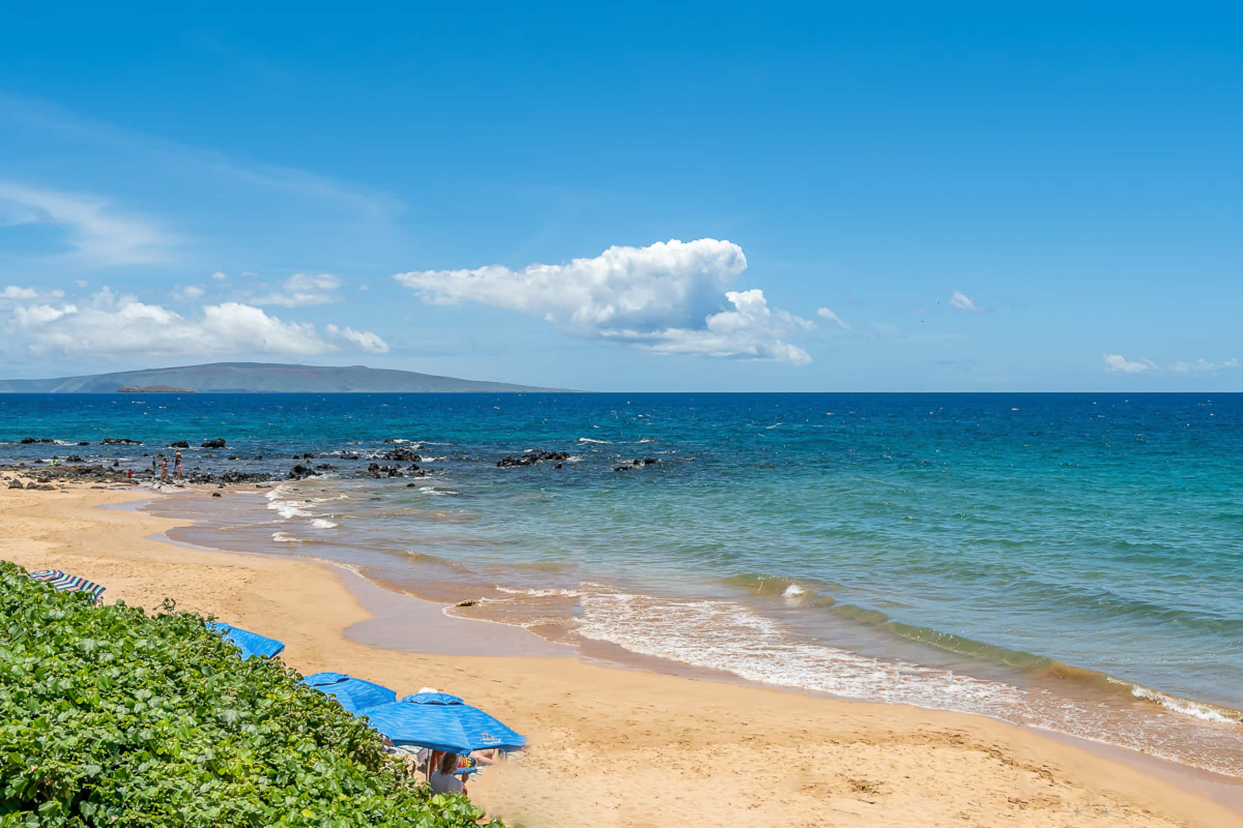 Condo in Kihei · ★4.97 · 1 bedroom · 1 bed · 2 baths - Image 49