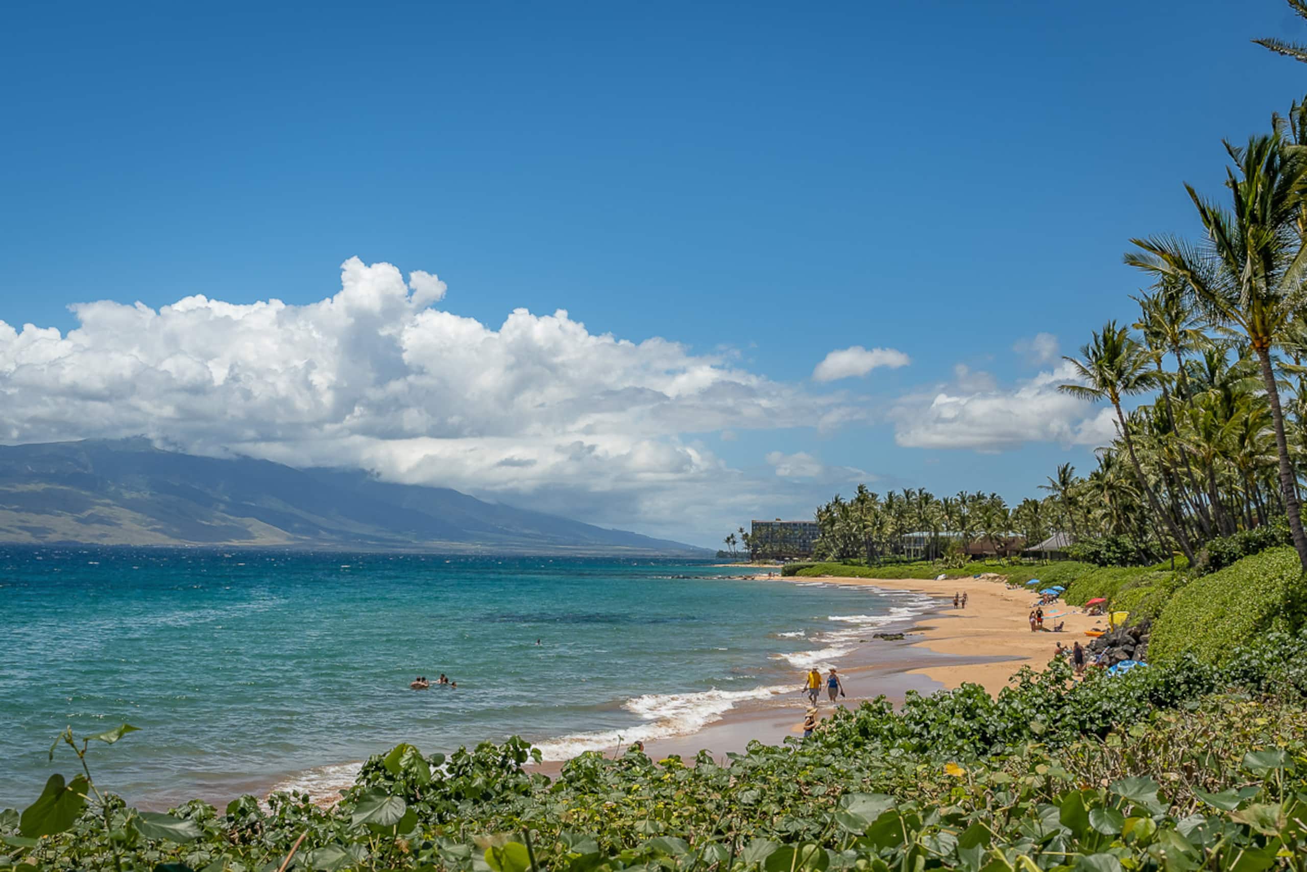 Condo in Kihei · ★4.97 · 1 bedroom · 1 bed · 2 baths - Image 47