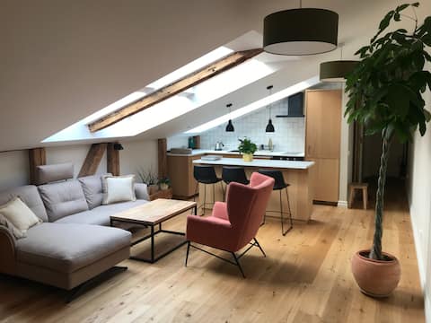 Entire apartment in the centre of Tartu