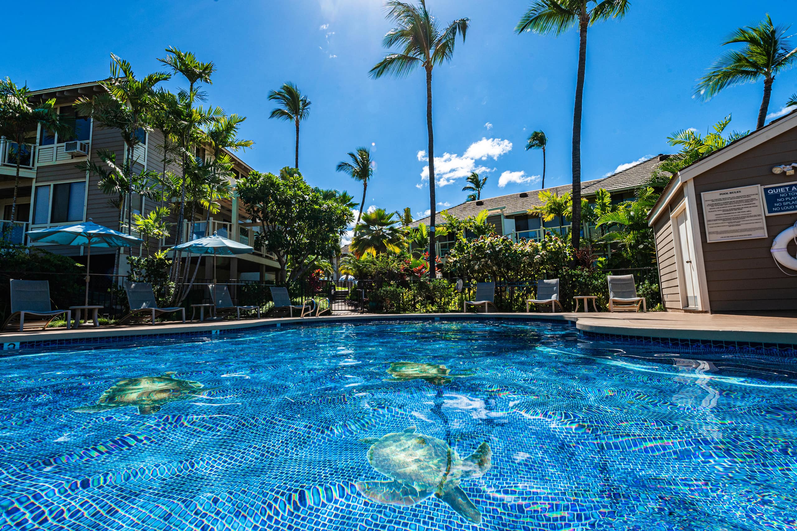 Condo in Wailea · ★4.94 · 2 bedrooms · 3 beds · 2 baths - Image 1