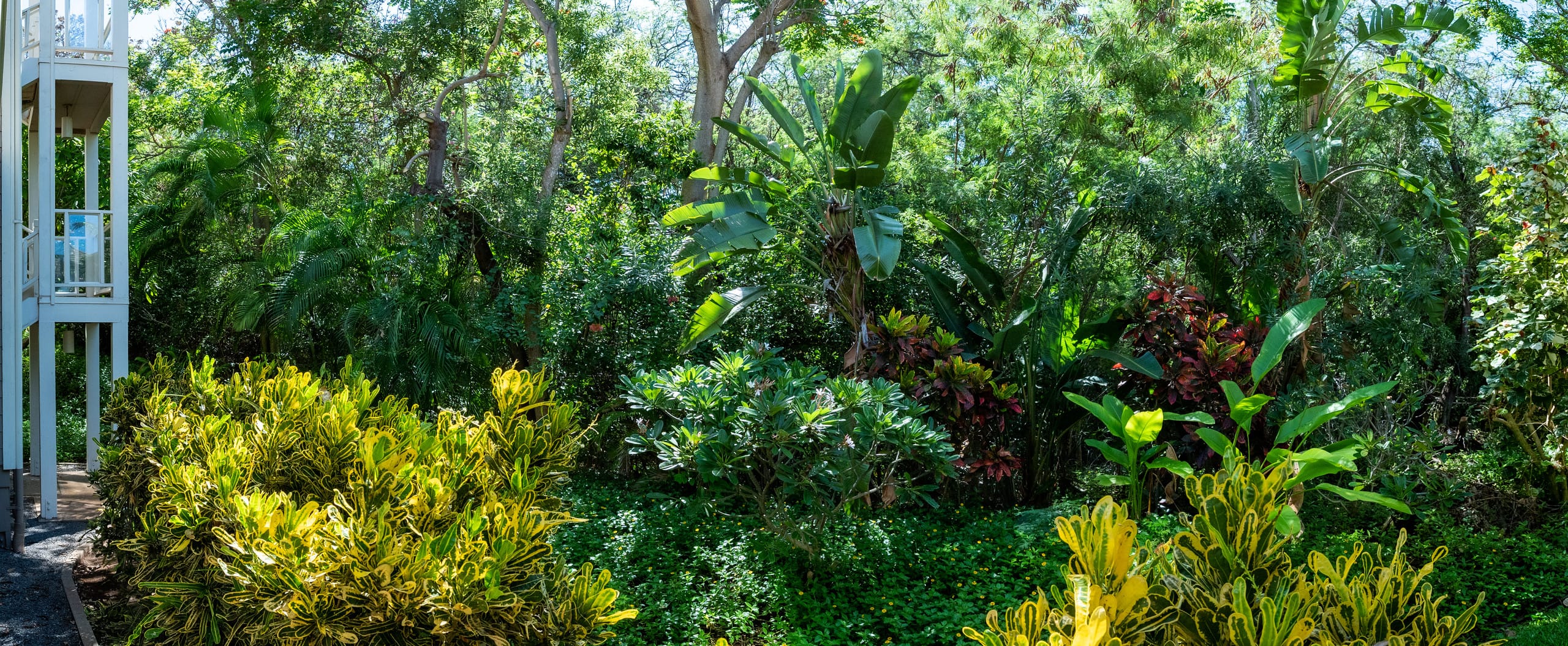 Condo in Wailea · ★4.94 · 2 bedrooms · 3 beds · 2 baths - Image 8