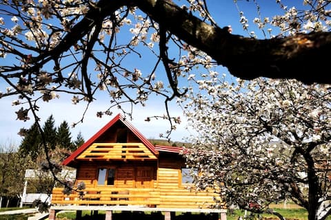 Wooden house "Una"