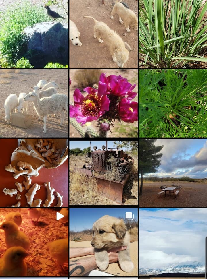 Elfrida Vacation Rentals & Homes Arizona, United States Airbnb