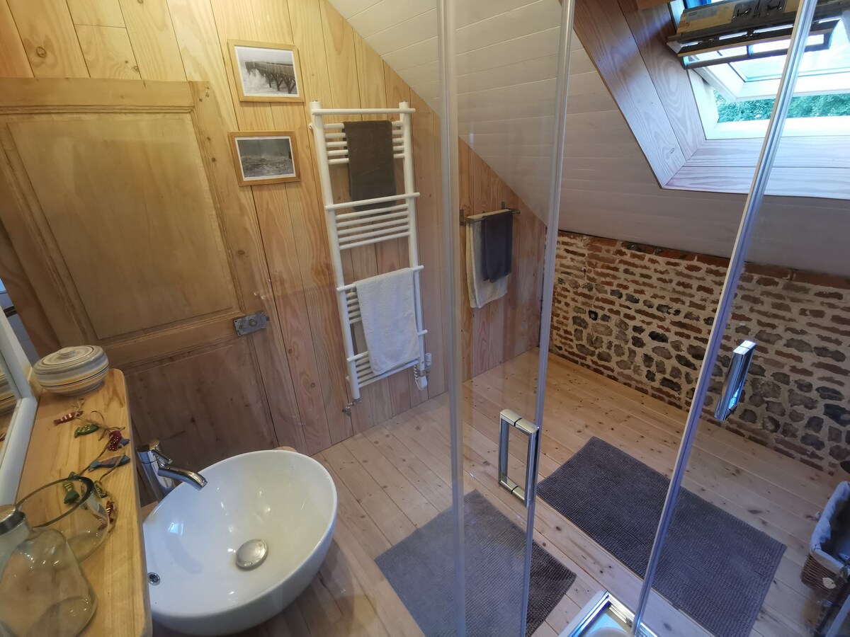 The bathroom features wooden walls complemented by exposed stone accents. A modern pedestal sink is positioned beside a glass shower enclosure. Soft light filters in through a skylight. Towels are neatly hung on a heated rack, and two bath mats are placed on the floor.