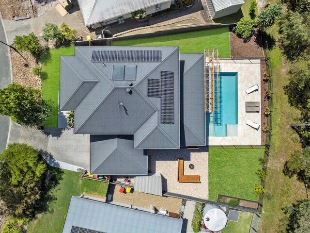 Bush backdrop with kangaroos on your doorstep gallery image 3