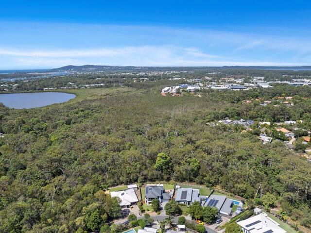 Bush backdrop with kangaroos on your doorstep gallery image 5