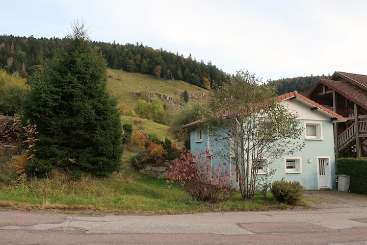 Jolie Petite Maison Classée 2 éToiles - La Bresse