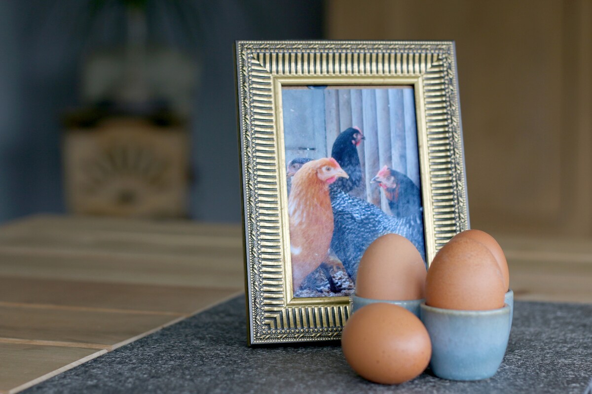 A decorative frame displays a photograph of chickens, resting on a wooden surface. In front, a small bowl holds four brown eggs, creating a warm and homey presentation.
