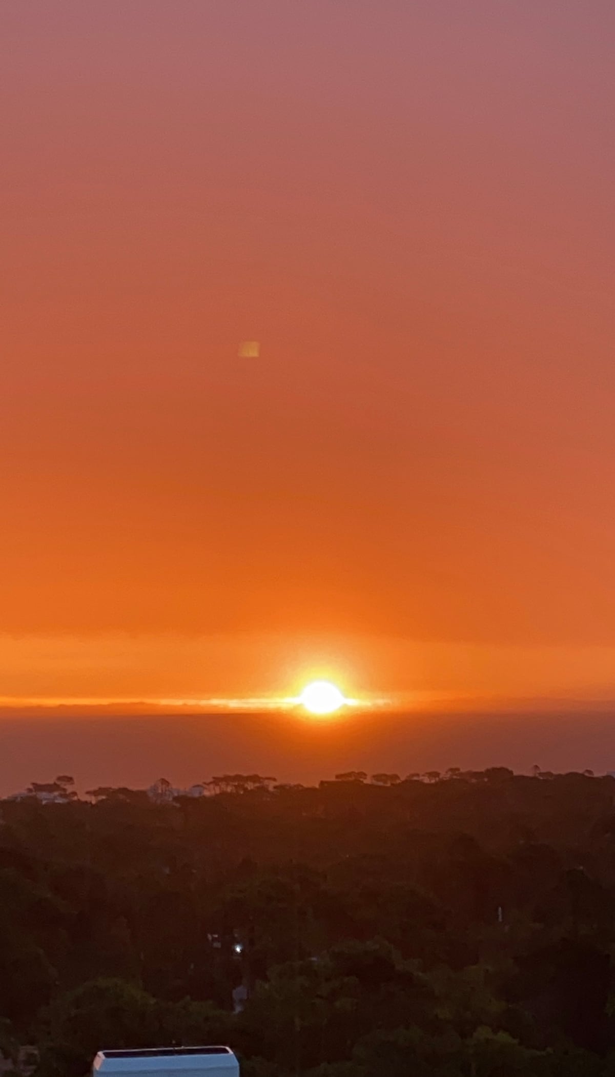 A vibrant sunset is captured over the horizon, showcasing rich orange and yellow hues blending together. The silhouettes of treetops are visible in the foreground, while a soft gradient of colors fills the sky, creating a serene atmosphere.