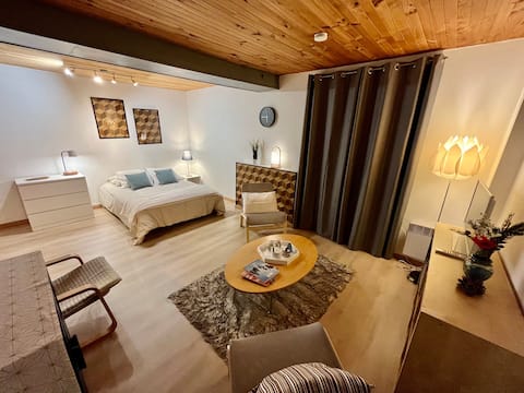 Large quiet studio, closed parking, 30 minutes from skiing!