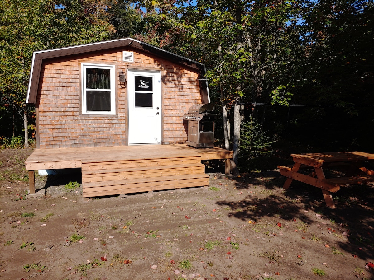 A rustic cabin with a wooden exterior is situated on a cleared area surrounded by trees. A porch extends in front, displaying a barbecue grill and a picnic table. The entrance features a single door with a window, framed by natural landscaping.