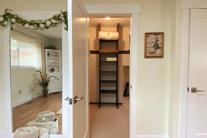 宽敞的步入式衣帽间和非常大的镜子