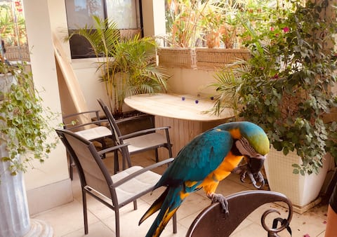 Entire specious luxury 1 bedroom+ apartment