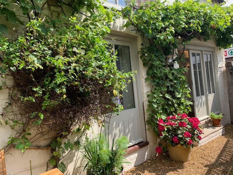 The exterior of the property is framed by lush greenery from climbing vines that drape over the walls, providing a natural canopy. Brightly colored flower pots featuring red blooms enhance the welcoming entrance, while a gravel pathway leads to the doors.