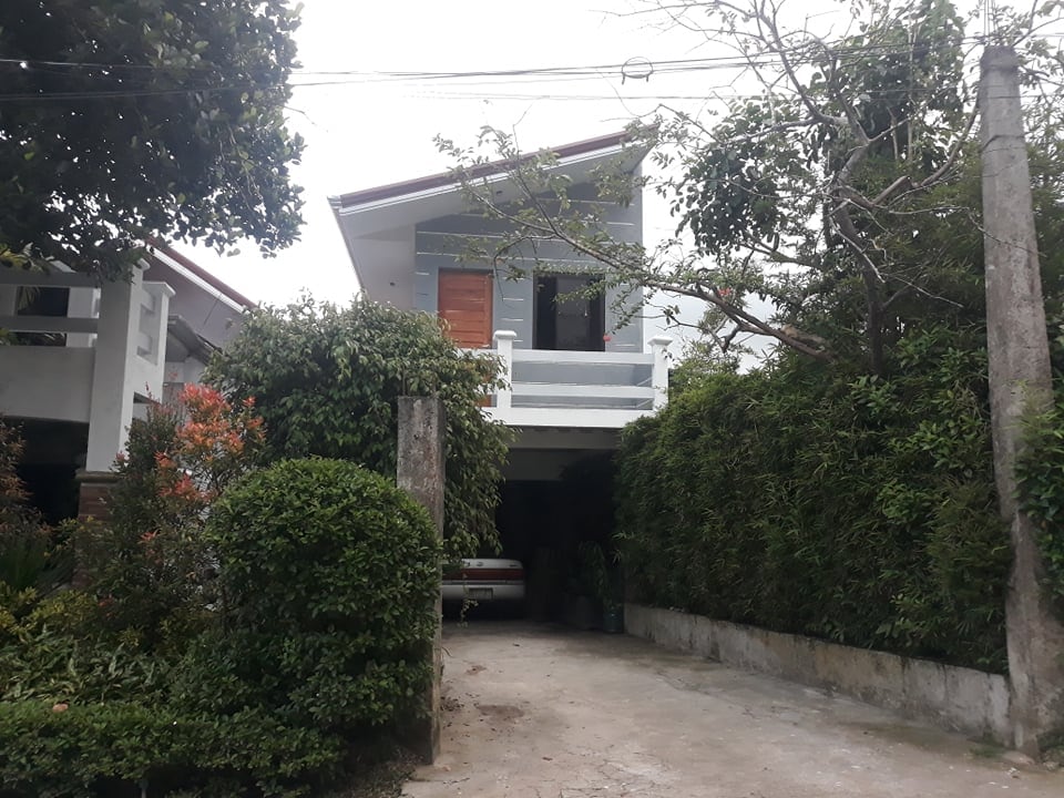 A two-story house is surrounded by lush greenery, with vibrant plants outlining the driveway. The entrance features a wooden door, framed by foliage. A driveway leads to a parking area in front of the house, providing a welcoming approach.