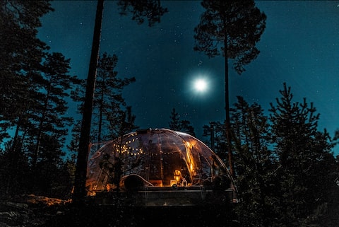 Be amazed by this unique experience!