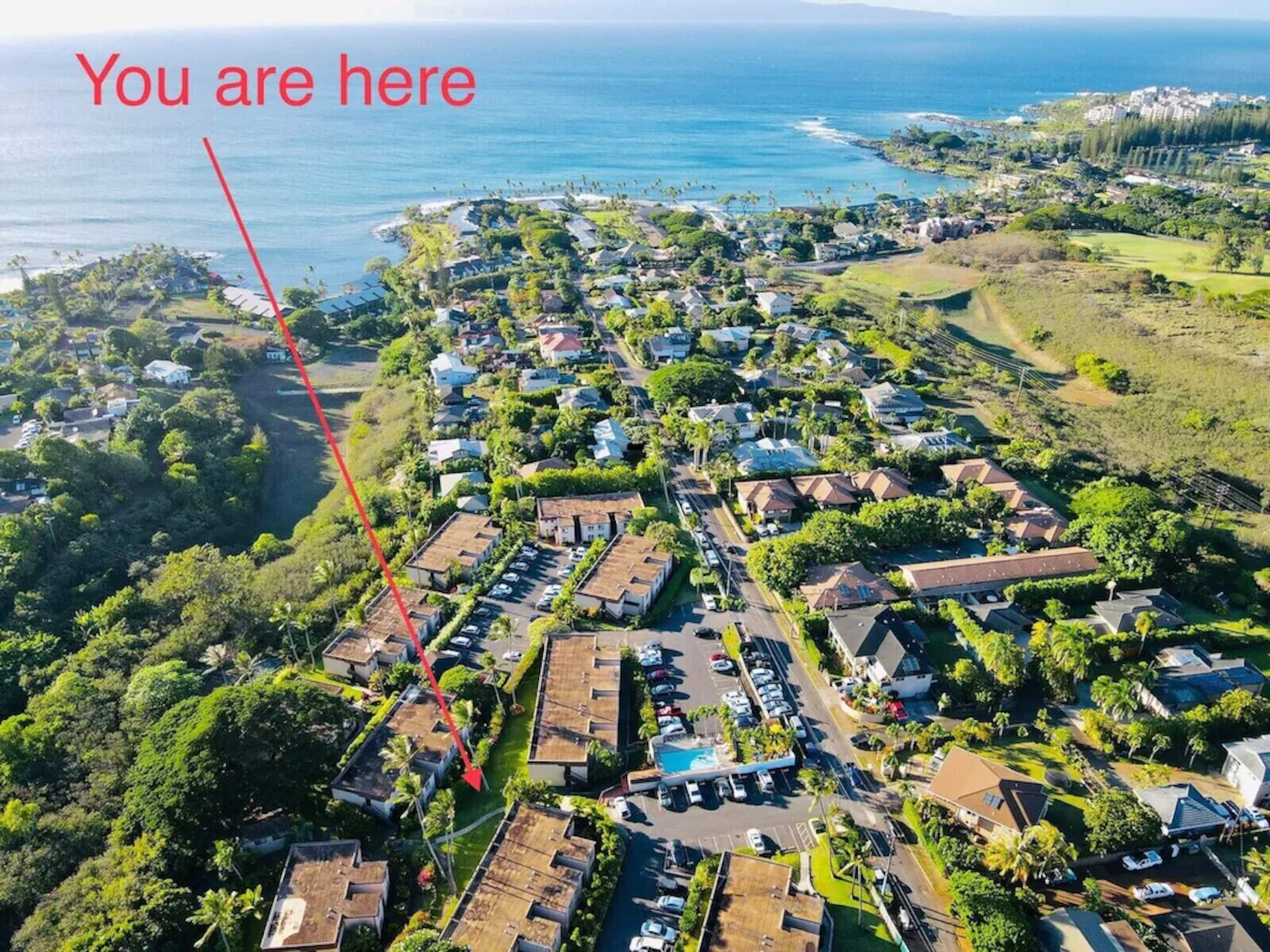 Condo in Lahaina · ★4.99 · 1 bedroom · 1 bed · 1 private bath - Image 17