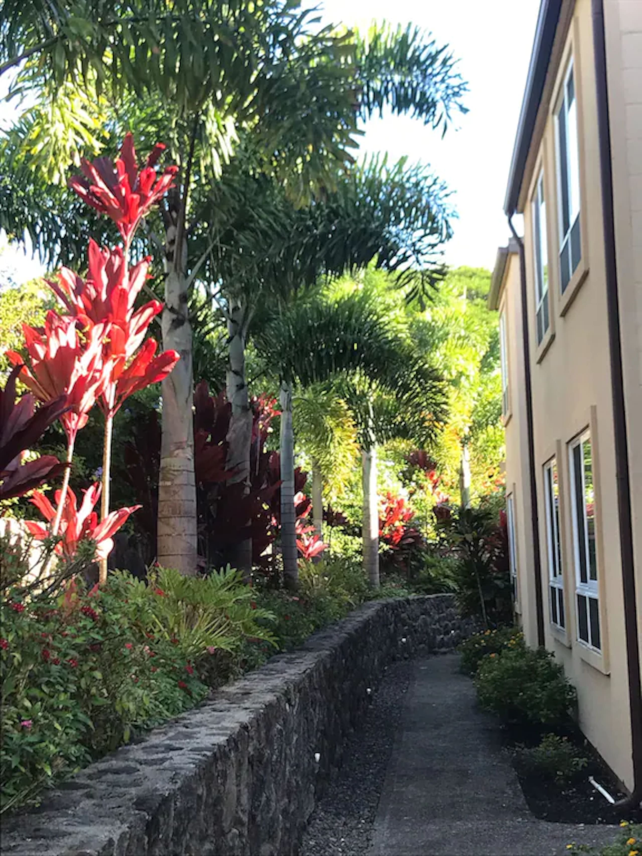 Condo in Lahaina · ★4.99 · 1 bedroom · 1 bed · 1 private bath - Image 20
