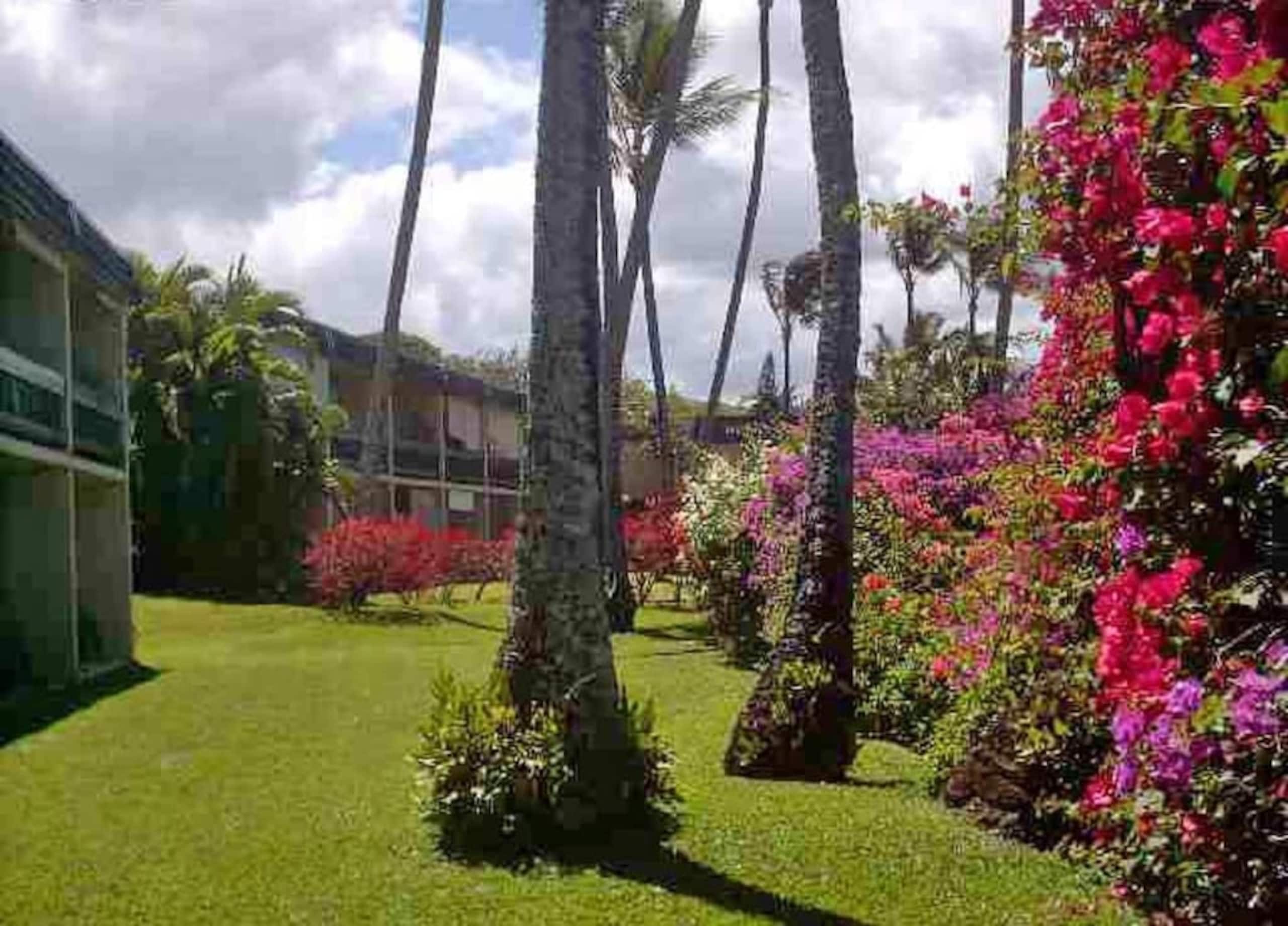 Condo in Lahaina · ★4.99 · 1 bedroom · 1 bed · 1 private bath - Image 18