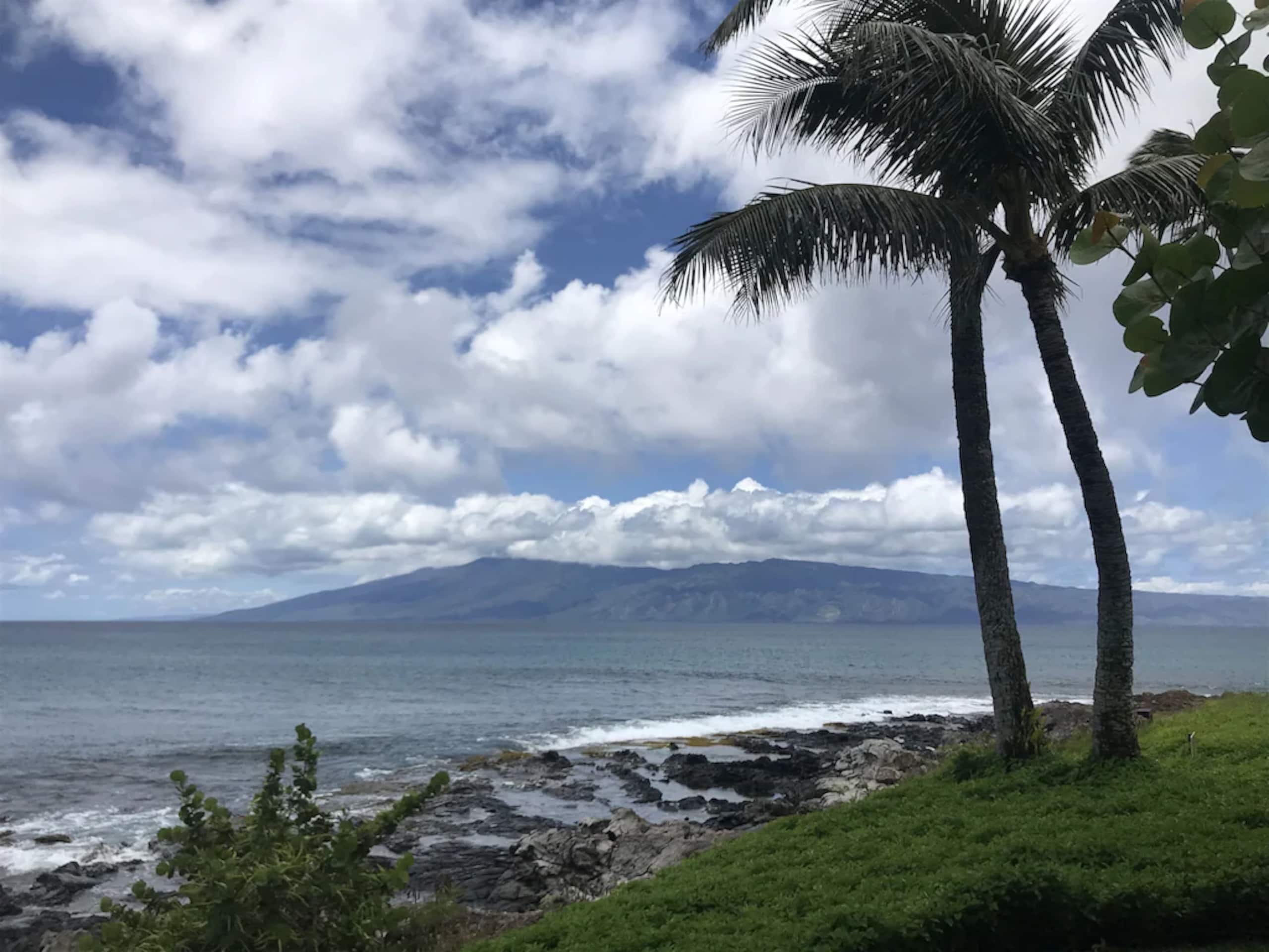 Condo in Lahaina · ★4.99 · 1 bedroom · 1 bed · 1 private bath - Image 26