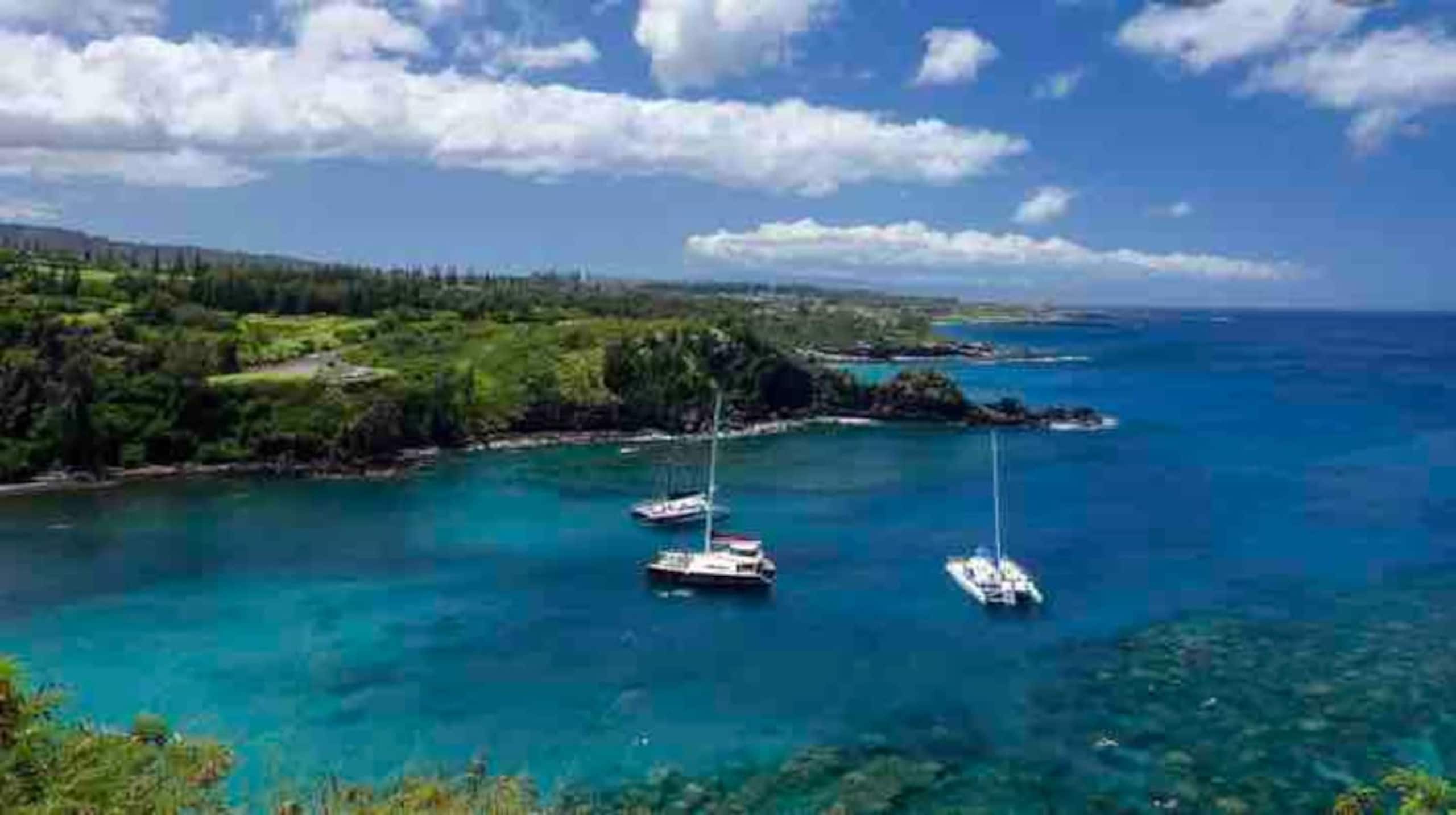 Condo in Lahaina · ★4.99 · 1 bedroom · 1 bed · 1 private bath - Image 29
