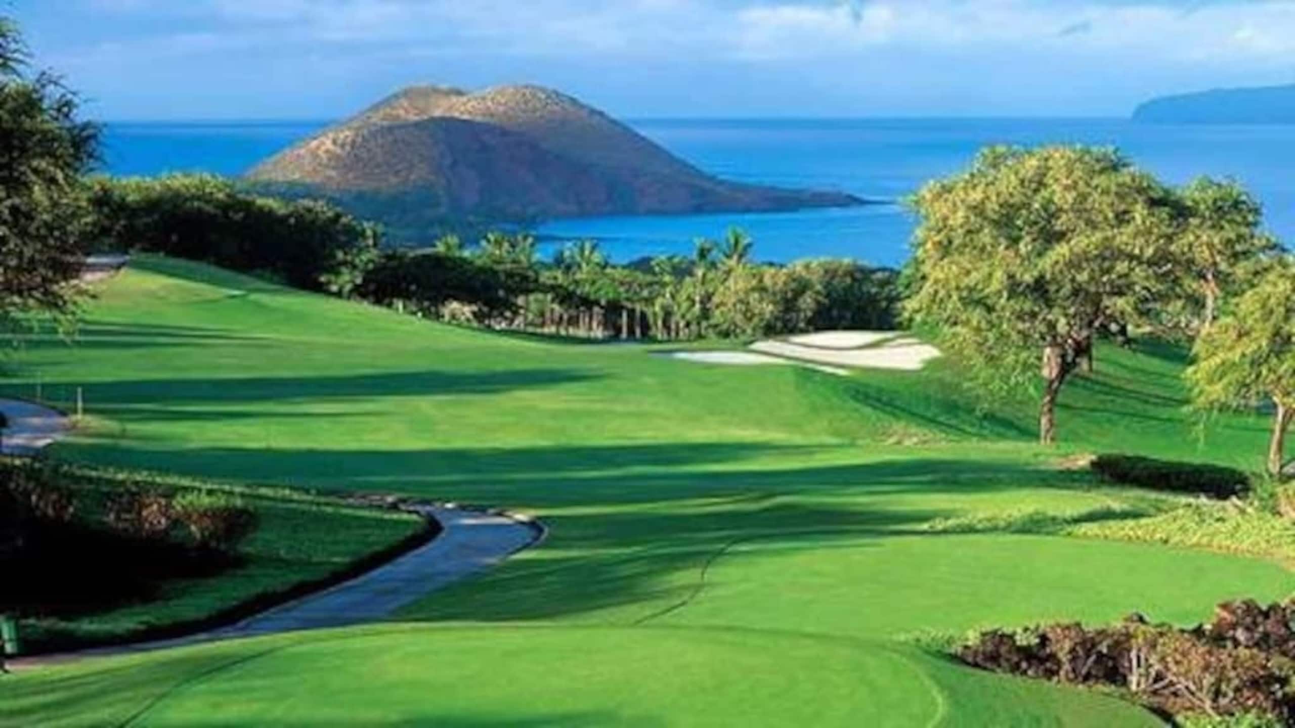 Condo in Lahaina · ★4.99 · 1 bedroom · 1 bed · 1 private bath - Image 24