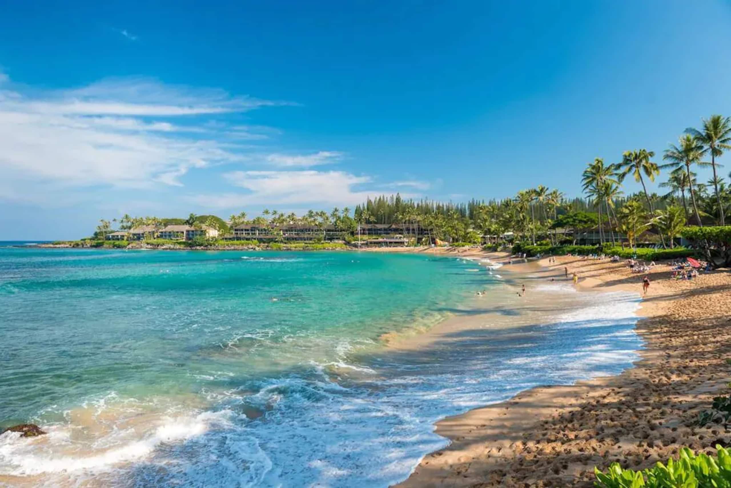 Condo in Lahaina · ★4.99 · 1 bedroom · 1 bed · 1 private bath - Image 25