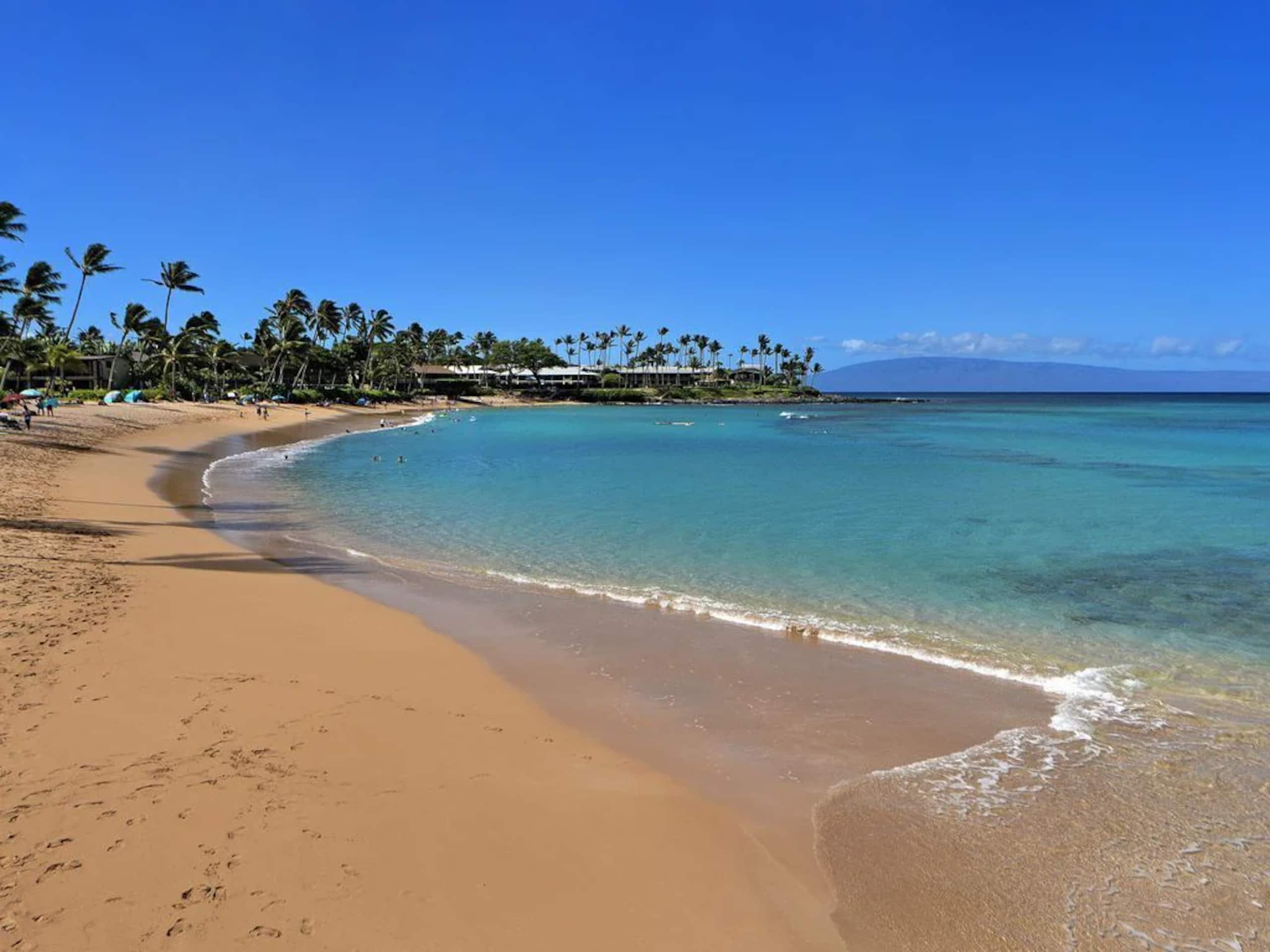 Condo in Lahaina · ★4.99 · 1 bedroom · 1 bed · 1 private bath - Image 21